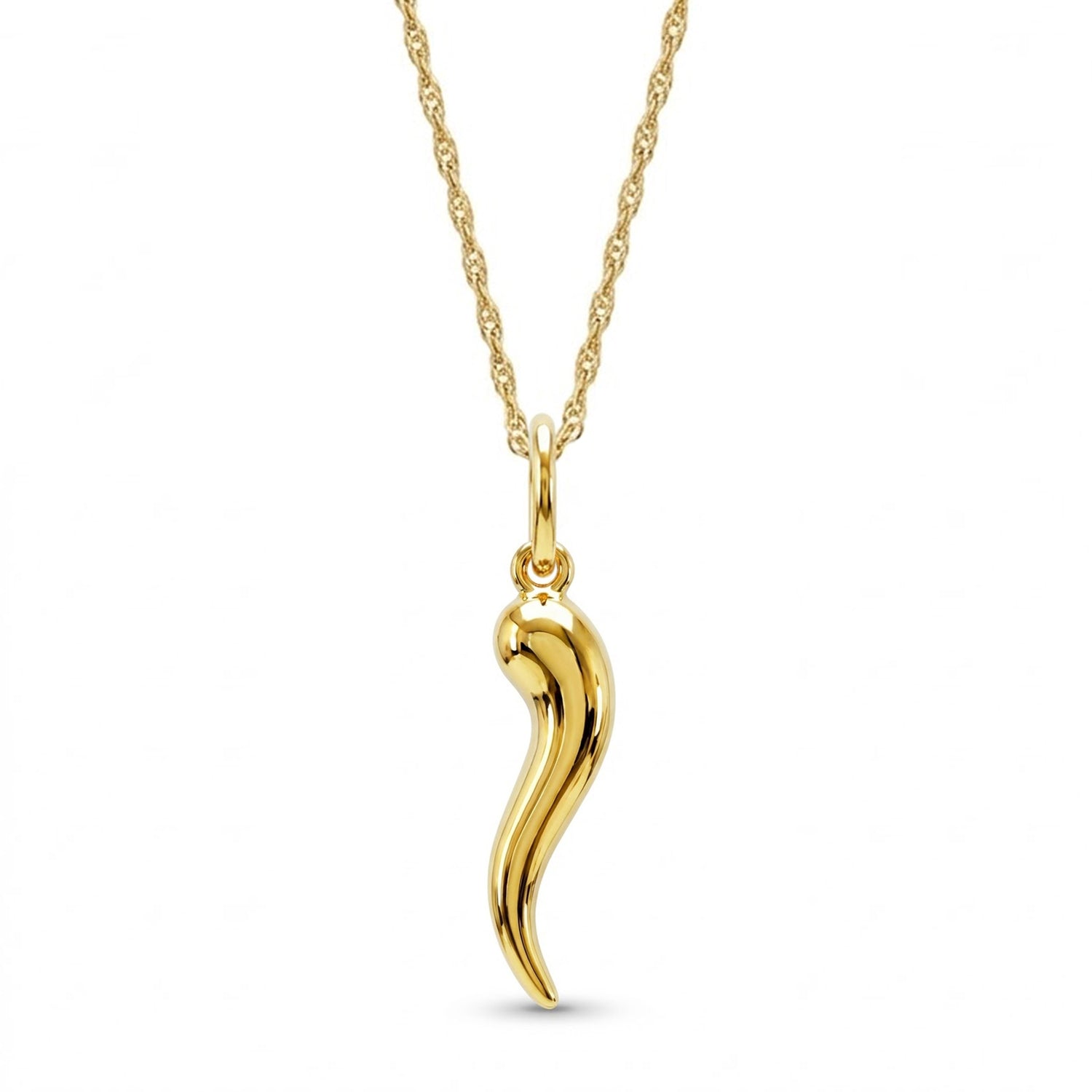 Gold Italian Horn Pendant with gold chain 
