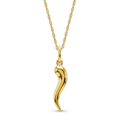 Gold Italian Horn Pendant with gold chain 